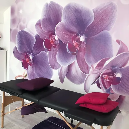 Des Palmiers 4* Bagnères-de-Bigorre