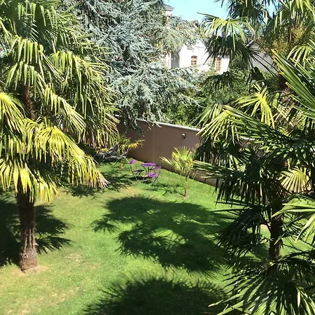 Des Palmiers Oda ve Kahvaltı