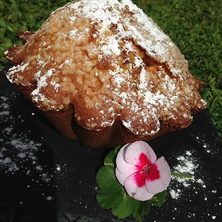 Des Palmiers Bed & Breakfast Bagneres-de-Bigorre