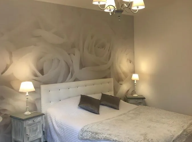 Des Palmiers Couette-café Bagnères-de-Bigorre